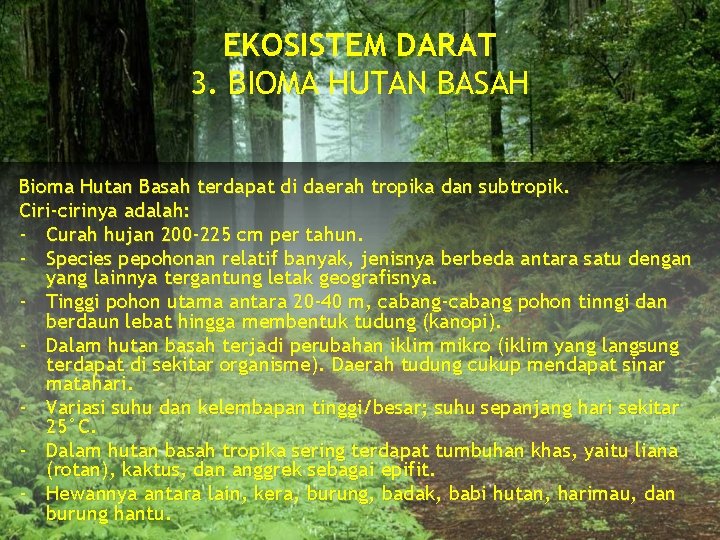 EKOSISTEM DARAT 3. BIOMA HUTAN BASAH Bioma Hutan Basah terdapat di daerah tropika dan