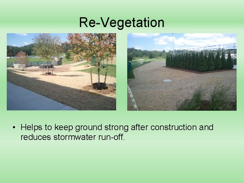 Re-Vegetation • Helps to keep ground strong after construction and reduces stormwater run-off. 