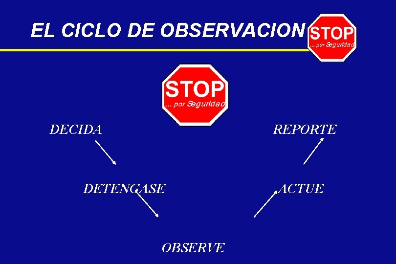 EL CICLO DE OBSERVACION DECIDA REPORTE DETENGASE OBSERVE ACTUE 