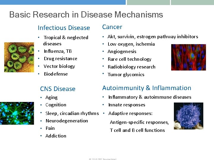 Basic Research in Disease Mechanisms Infectious Disease Cancer • Tropical & neglected diseases •