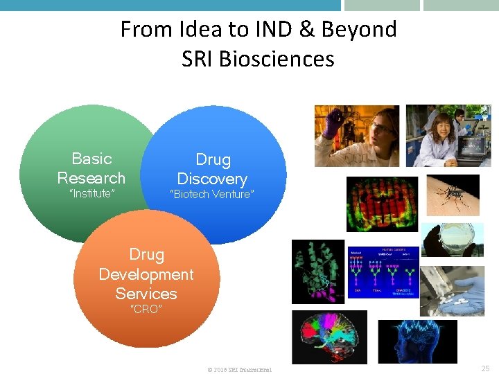 From Idea to IND & Beyond SRI Biosciences Basic Research Drug Discovery “Institute” “Biotech
