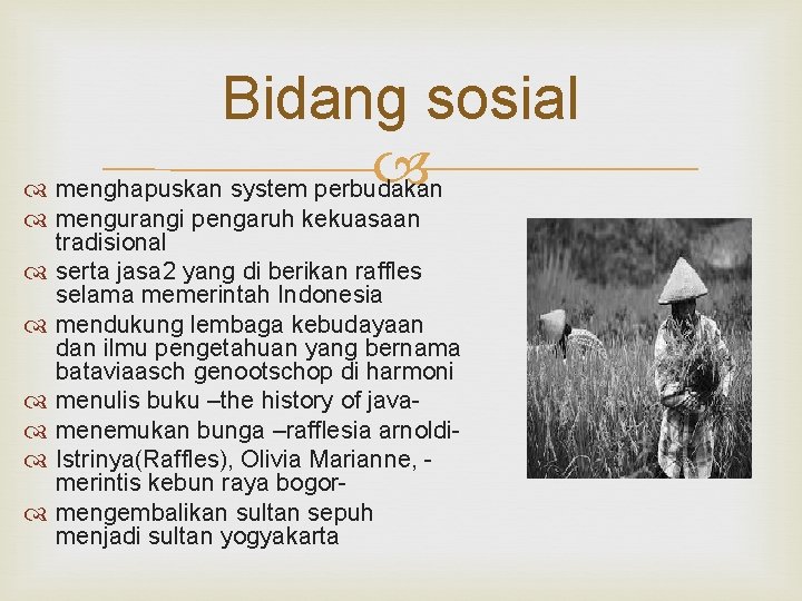 Bidang sosial menghapuskan system perbudakan mengurangi pengaruh kekuasaan tradisional serta jasa 2 yang di