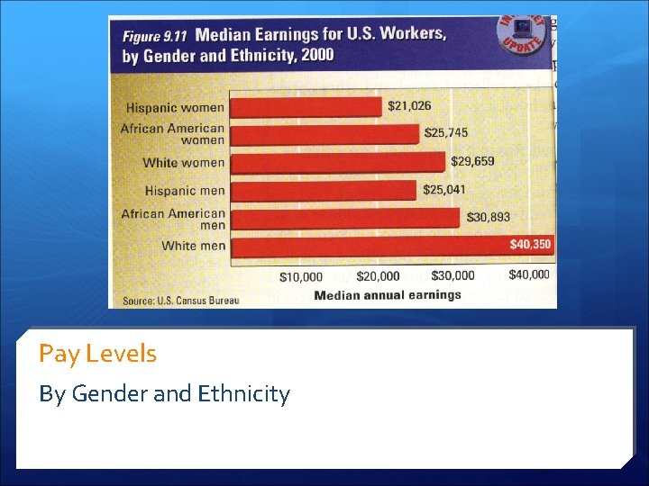 Pay Levels By Gender and Ethnicity 