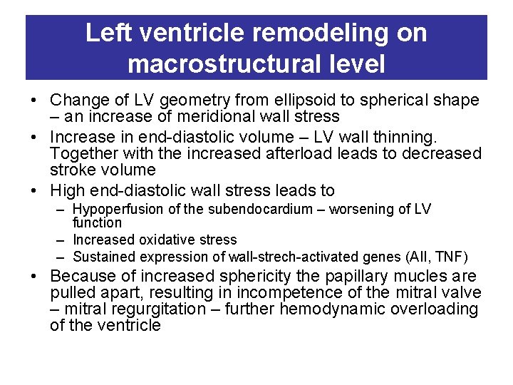 Left ventricle remodeling on macrostructural level • Change of LV geometry from ellipsoid to