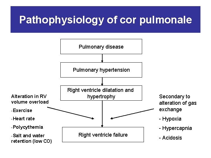 Pathophysiology of cor pulmonale Pulmonary disease Pulmonary hypertension Alteration in RV volume overload Right