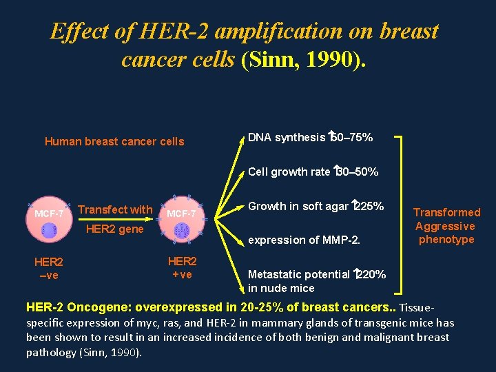 Effect of HER-2 amplification on breast cancer cells (Sinn, 1990). Human breast cancer cells