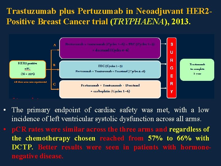 Trastuzumab plus Pertuzumab in Neoadjuvant HER 2 Positive Breast Cancer trial (TRYPHAENA), 2013. •