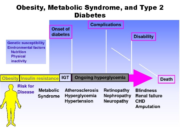 Obesity, Metabolic Syndrome, and Type 2 Diabetes 