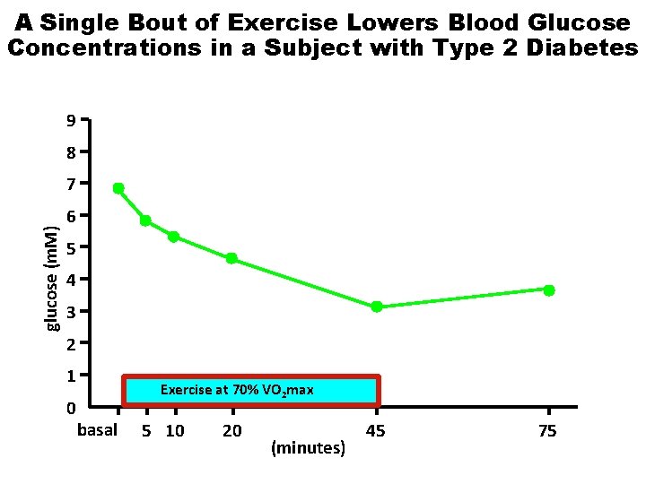 A Single Bout of Exercise Lowers Blood Glucose Concentrations in a Subject with Type
