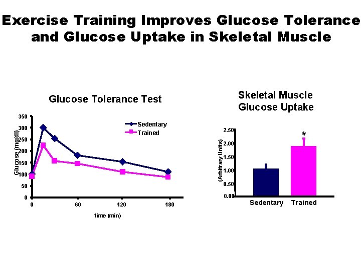 Exercise Training Improves Glucose Tolerance and Glucose Uptake in Skeletal Muscle Glucose Uptake Glucose