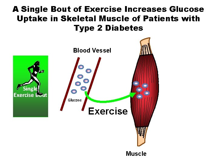 A Single Bout of Exercise Increases Glucose Uptake in Skeletal Muscle of Patients with