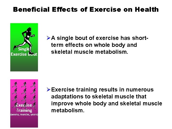 Beneficial Effects of Exercise on Health Single Exercise Bout Exercise Training (weeks, months, years)
