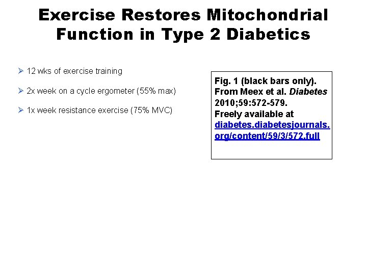 Exercise Restores Mitochondrial Function in Type 2 Diabetics Ø 12 wks of exercise training