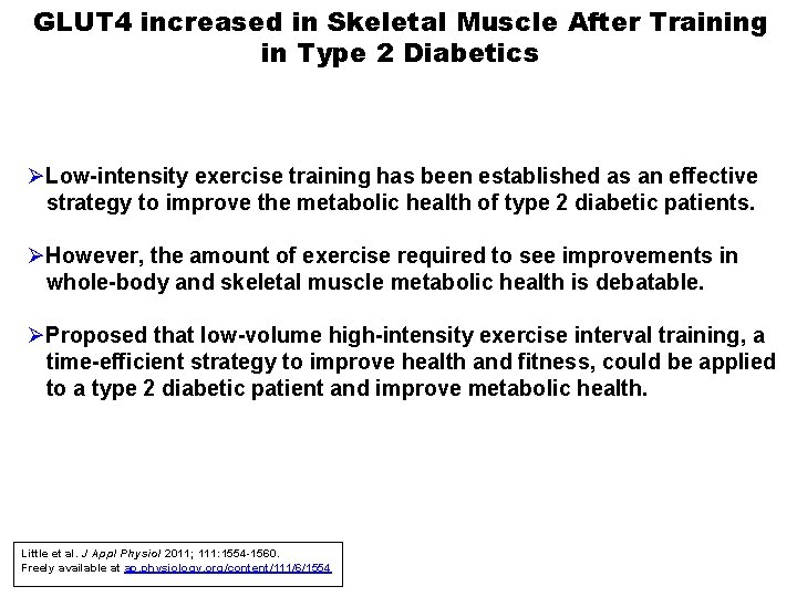 GLUT 4 increased in Skeletal Muscle After Training in Type 2 Diabetics ØLow-intensity exercise