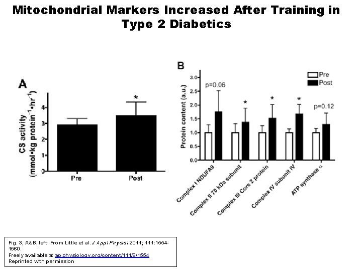 Mitochondrial Markers Increased After Training in Type 2 Diabetics Fig. 3, A&B, left. From