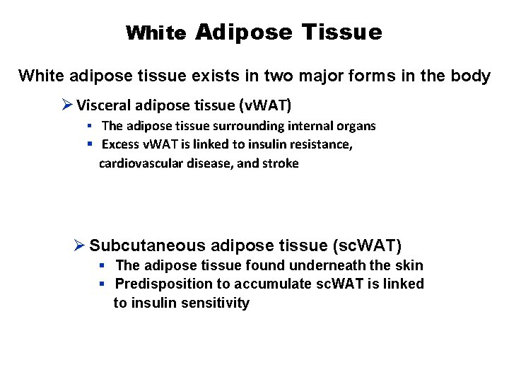 White Adipose Tissue White adipose tissue exists in two major forms in the body