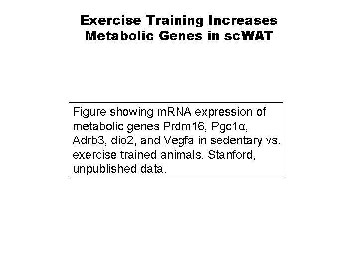 Exercise Training Increases Metabolic Genes in sc. WAT Figure showing m. RNA expression of