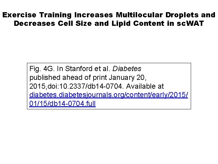 Exercise Training Increases Multilocular Droplets and Decreases Cell Size and Lipid Content in sc.