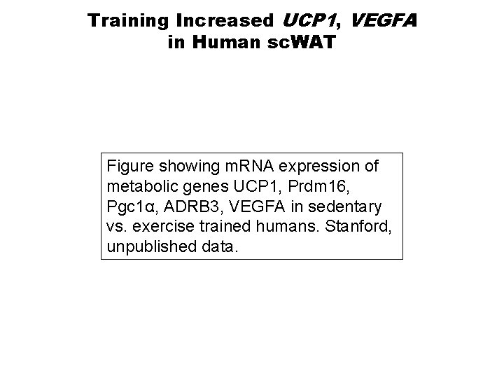 Training Increased UCP 1, VEGFA in Human sc. WAT Figure showing m. RNA expression