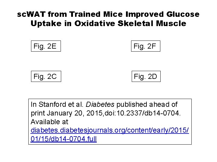 sc. WAT from Trained Mice Improved Glucose Uptake in Oxidative Skeletal Muscle Fig. 2