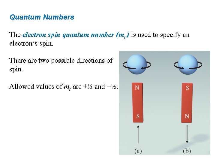 Quantum Numbers The electron spin quantum number (ms ) is used to specify an