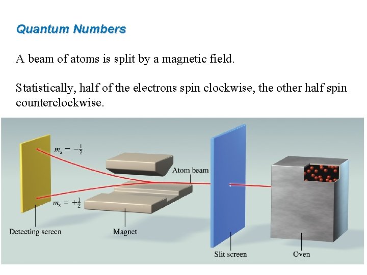 Quantum Numbers A beam of atoms is split by a magnetic field. Statistically, half