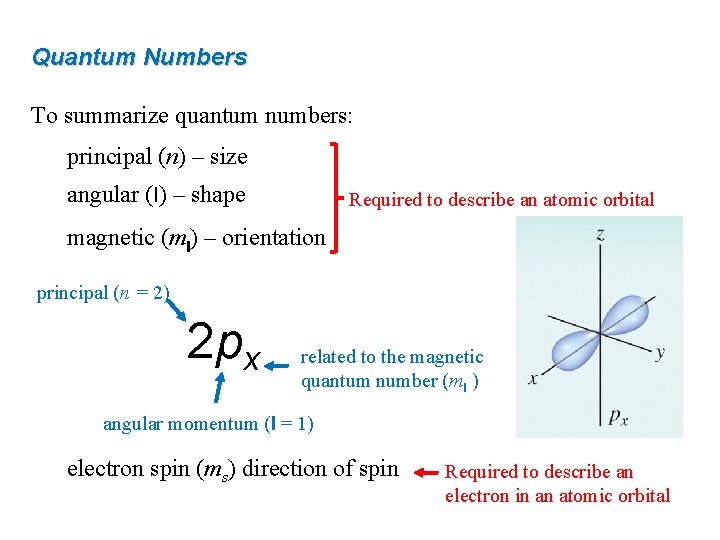 Quantum Numbers To summarize quantum numbers: principal (n) – size angular (l) – shape