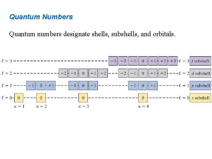 Quantum Numbers Quantum numbers designate shells, subshells, and orbitals. 