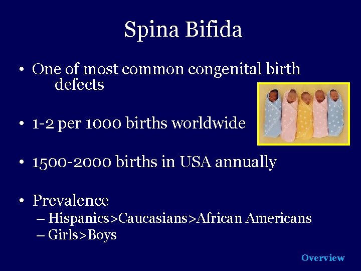 Spina Bifida • One of most common congenital birth defects • 1 -2 per