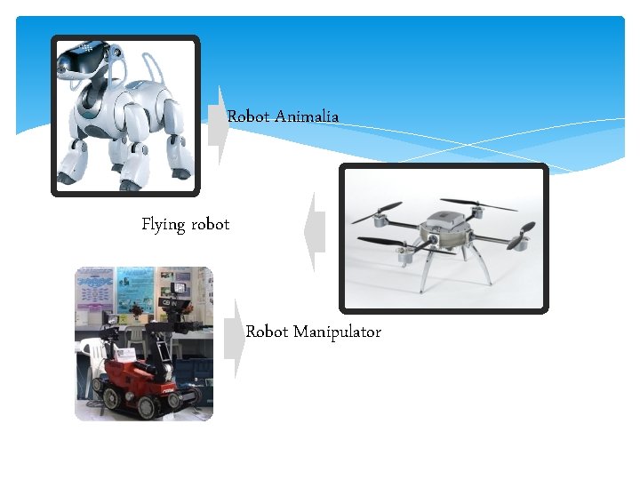 Robot Animalia Flying robot Robot Manipulator 