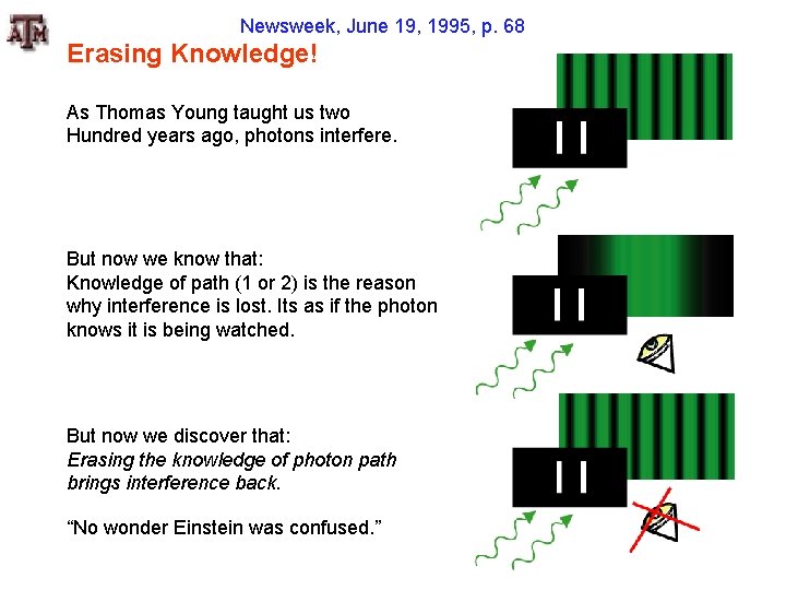 Newsweek, June 19, 1995, p. 68 Erasing Knowledge! As Thomas Young taught us two