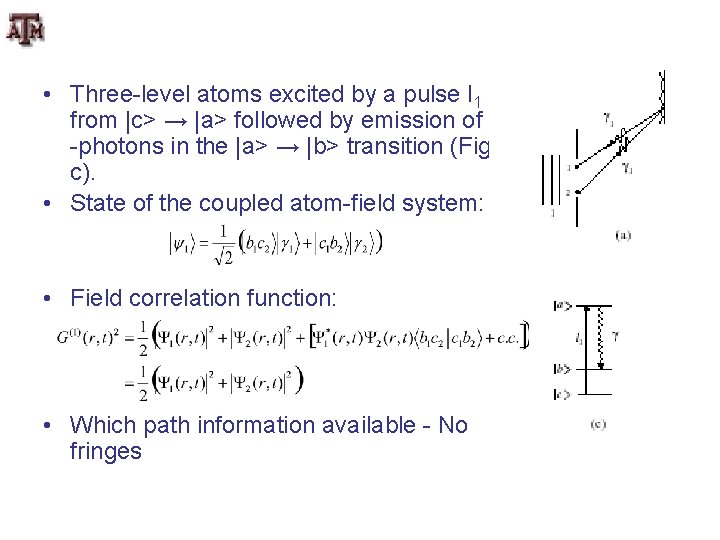  • Three-level atoms excited by a pulse l 1 from |c> → |a>