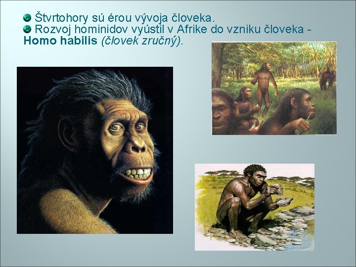 Štvrtohory sú érou vývoja človeka. Rozvoj hominidov vyústil v Afrike do vzniku človeka Homo