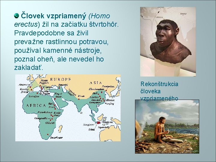 Človek vzpriamený (Homo erectus) žil na začiatku štvrtohôr. Pravdepodobne sa živil prevažne rastlinnou potravou,