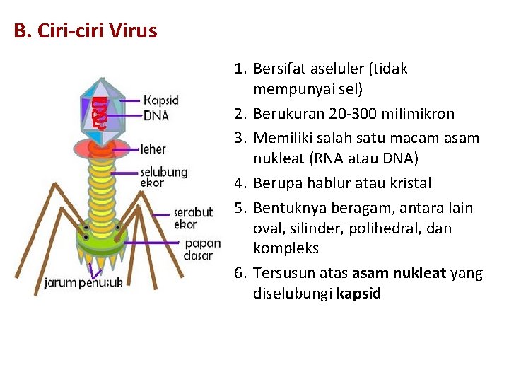 B. Ciri-ciri Virus 1. Bersifat aseluler (tidak mempunyai sel) 2. Berukuran 20 -300 milimikron