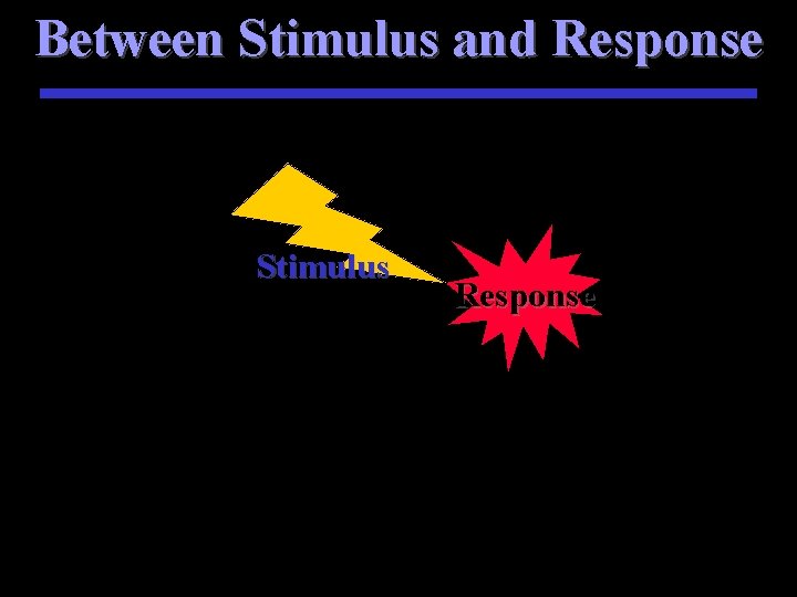 Between Stimulus and Response Stimulus Response 