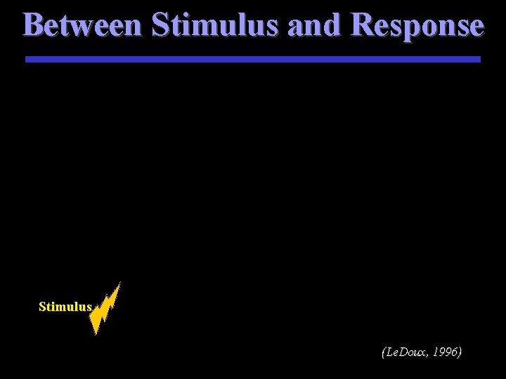 Between Stimulus and Response Stimulus (Le. Doux, 1996) 