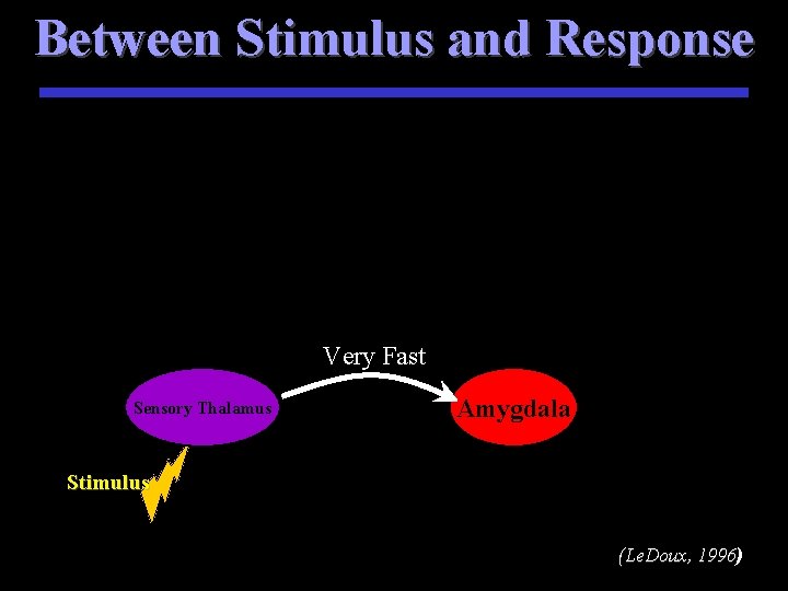 Between Stimulus and Response Very Fast Sensory Thalamus Amygdala Stimulus (Le. Doux, 1996) 1996