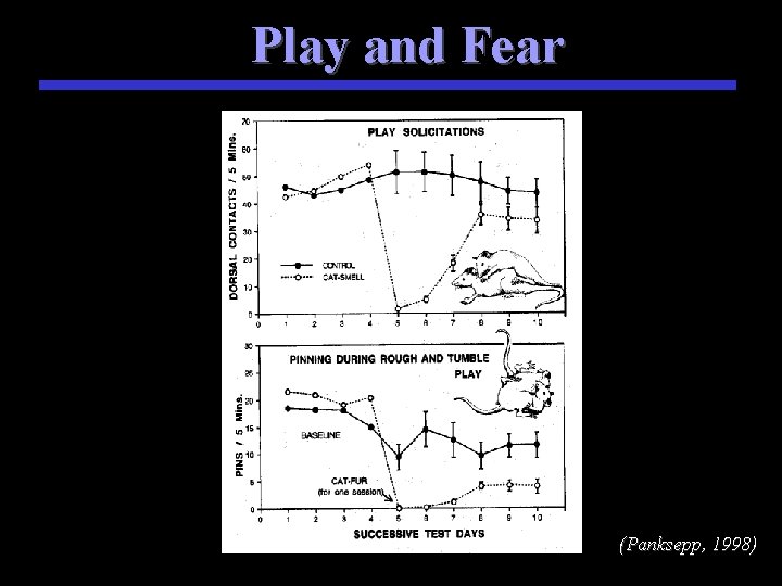 Play and Fear (Panksepp, 1998) 