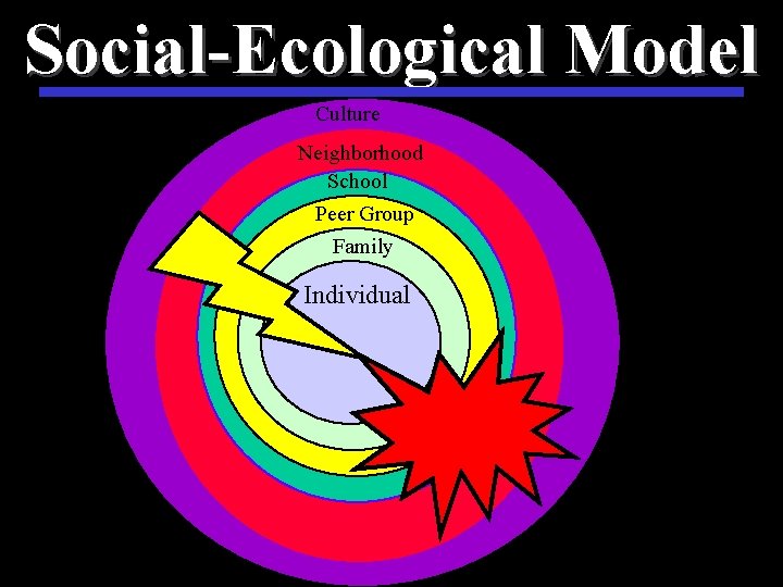 Social-Ecological Model Culture Neighborhood School Peer Group Family Individual 