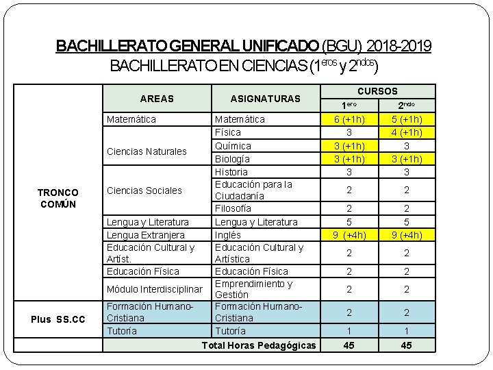 BACHILLERATO GENERAL UNIFICADO (BGU) 2018 -2019 BACHILLERATO EN CIENCIAS (1 eros y 2 ndos)