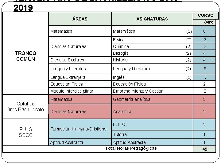 TERCER AÑO DE BACHILLERATO 20182019 ÁREAS ASIGNATURAS Matemática Optativa 3 ros Bachillerato PLUS SSCC