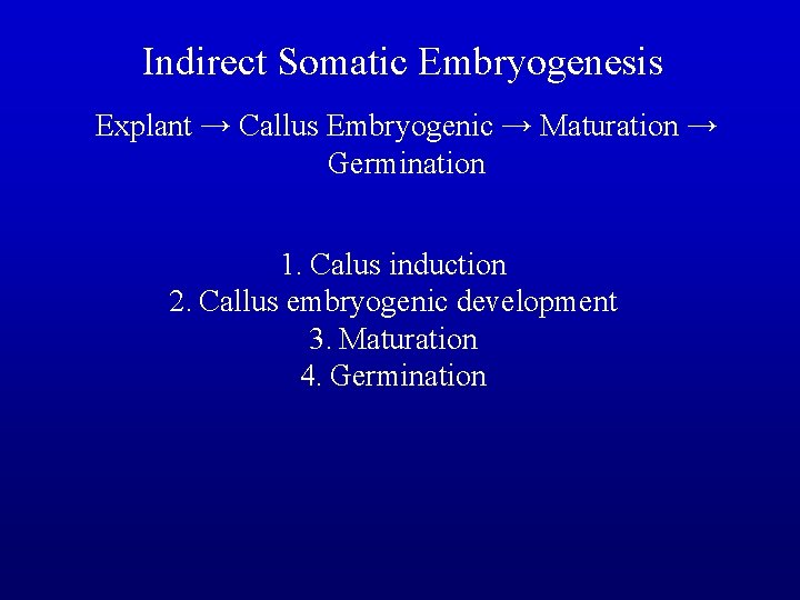 Indirect Somatic Embryogenesis Explant → Callus Embryogenic → Maturation → Germination 1. Calus induction