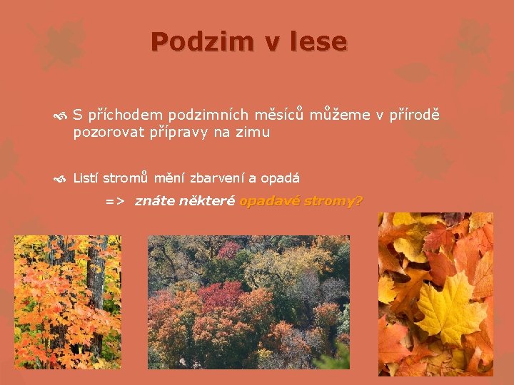 Podzim v lese S příchodem podzimních měsíců můžeme v přírodě pozorovat přípravy na zimu