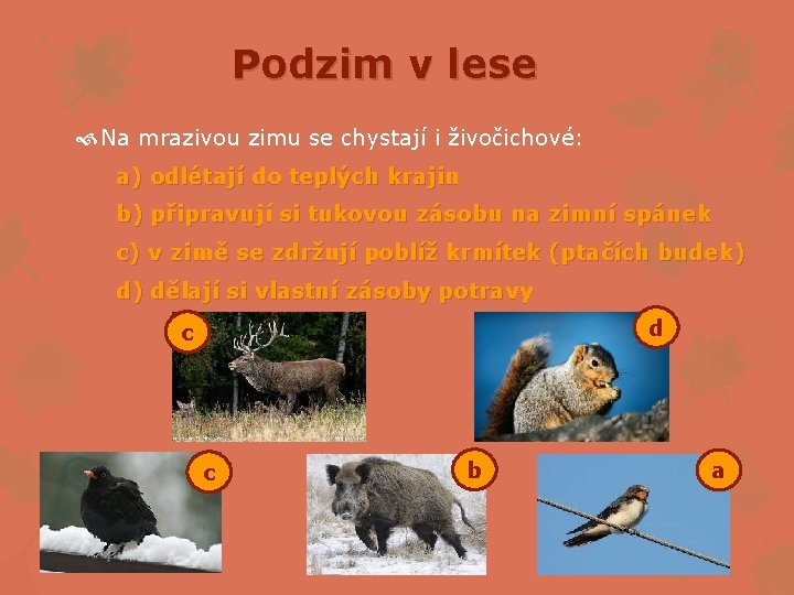 Podzim v lese Na mrazivou zimu se chystají i živočichové: a) odlétají do teplých