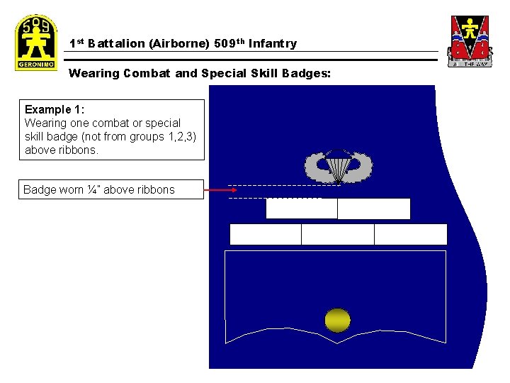 1 st Battalion (Airborne) 509 th Infantry Wearing Combat and Special Skill Badges: Example