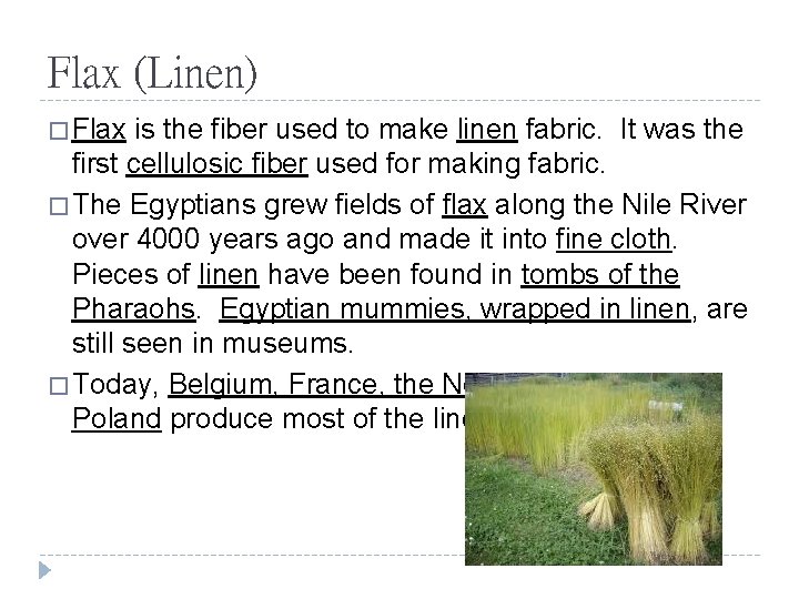 Flax (Linen) � Flax is the fiber used to make linen fabric. It was