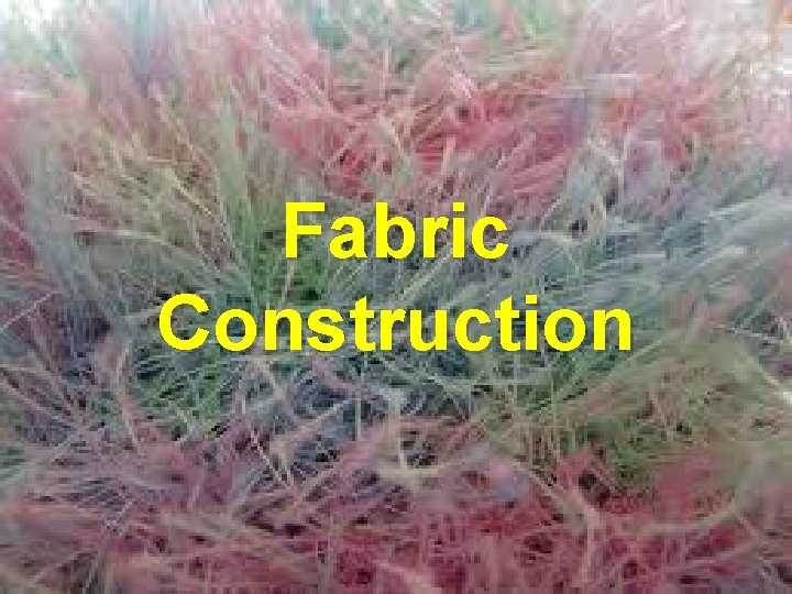 Fabric Construction 