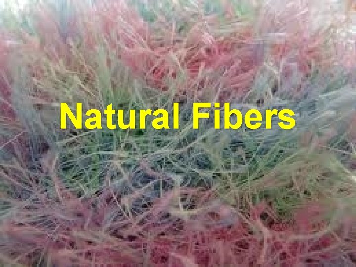 Natural Fibers 