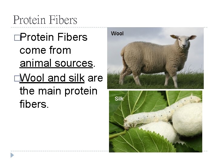 Protein Fibers �Protein Fibers come from animal sources. �Wool and silk are the main